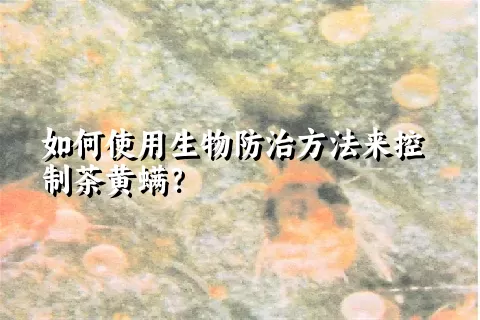 如何使用生物防治方法来控制茶黄螨？