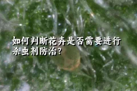 如何判断花卉是否需要进行杀虫剂防治？