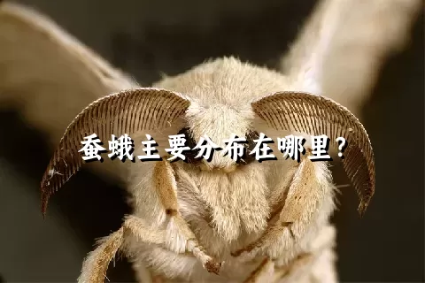 蚕蛾主要分布在哪里？