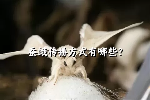 蚕蛾传播方式有哪些？