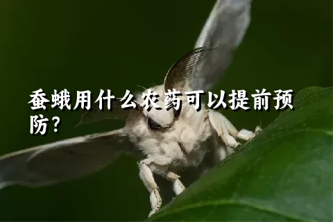 蚕蛾用什么农药可以提前预防？