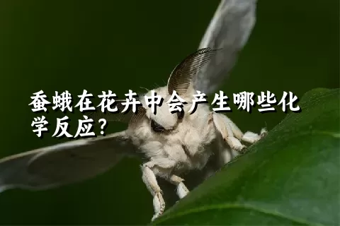 蚕蛾在花卉中会产生哪些化学反应？