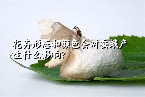 花卉形态和颜色会对蚕蛾产生什么影响？