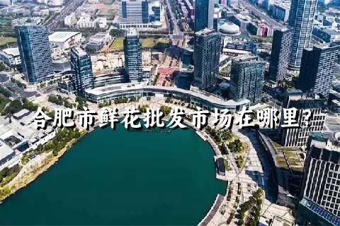 合肥市鲜花批发市场在哪里？