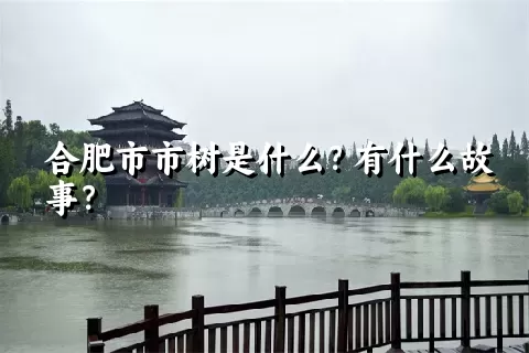 合肥市市树是什么？有什么故事？