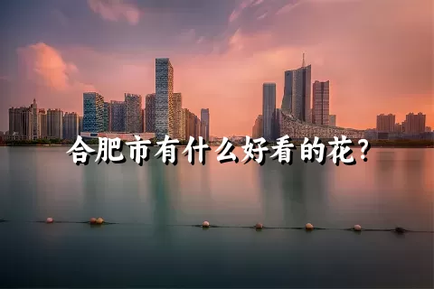 合肥市有什么好看的花？