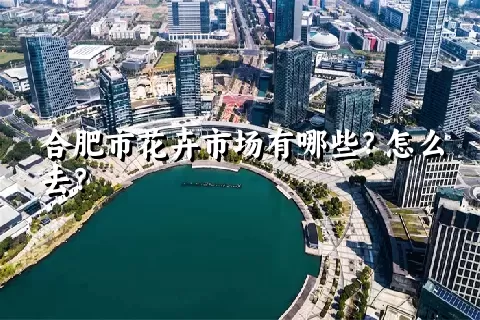 合肥市花卉市场有哪些？怎么去？