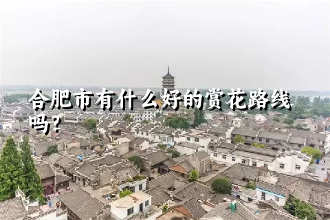 合肥市有什么好的赏花路线吗？