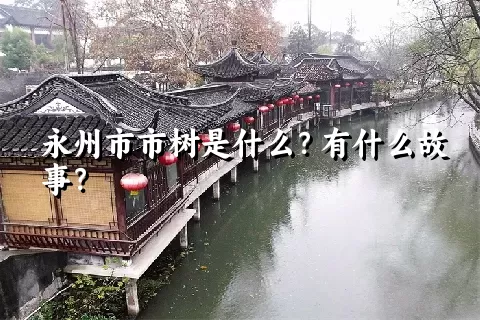 永州市市树是什么？有什么故事？