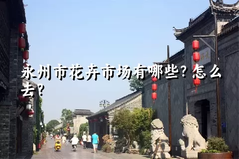 永州市花卉市场有哪些？怎么去？