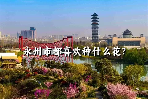 永州市都喜欢种什么花？