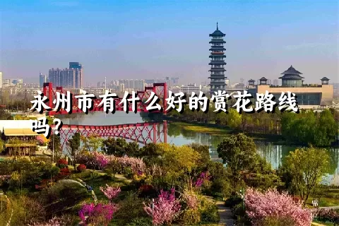 永州市有什么好的赏花路线吗？