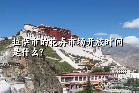 拉萨市的花卉市场开放时间是什么?