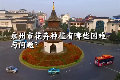 永州市花卉种植有哪些困难与问题？