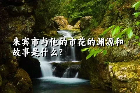 来宾市与他的市花的渊源和故事是什么？