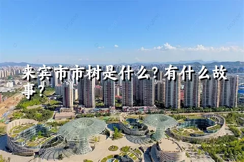 来宾市市树是什么？有什么故事？