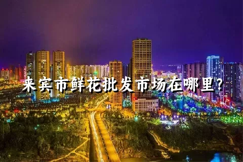 来宾市鲜花批发市场在哪里？