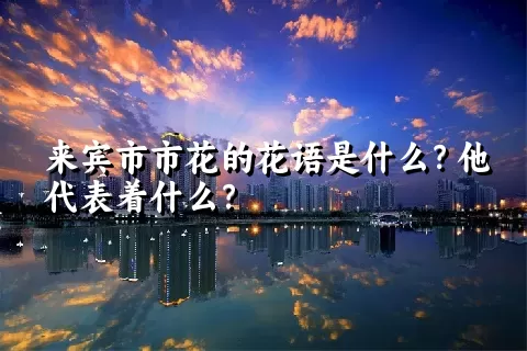 来宾市市花的花语是什么？他代表着什么？