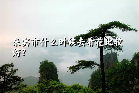 来宾市什么时候去看花比较好？