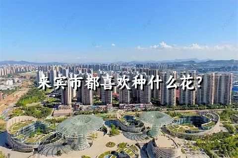 来宾市都喜欢种什么花？