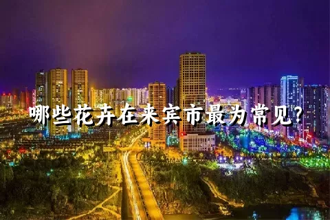 哪些花卉在来宾市最为常见？