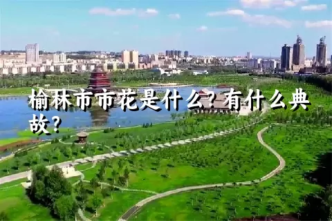 榆林市市花是什么？有什么典故？