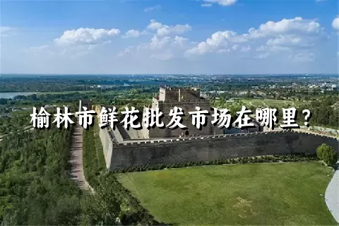 榆林市鲜花批发市场在哪里？