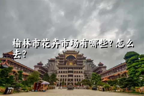 榆林市花卉市场有哪些？怎么去？