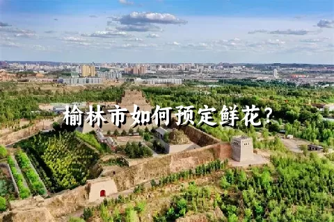 榆林市如何预定鲜花？