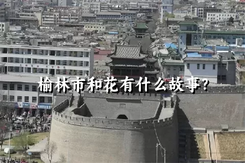 榆林市和花有什么故事？