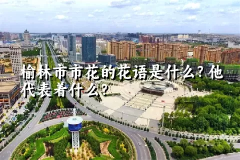 榆林市市花的花语是什么？他代表着什么？