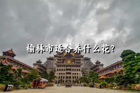 榆林市适合养什么花？