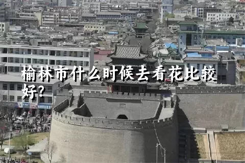 榆林市什么时候去看花比较好？