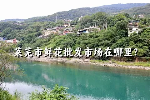 莱芜市鲜花批发市场在哪里？