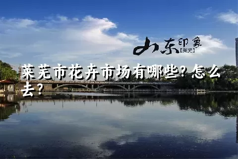 莱芜市花卉市场有哪些？怎么去？