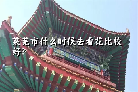 莱芜市什么时候去看花比较好？