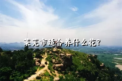 莱芜市适合养什么花？