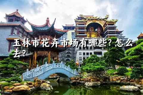 玉林市花卉市场有哪些？怎么去？