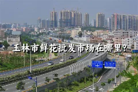 玉林市鲜花批发市场在哪里？