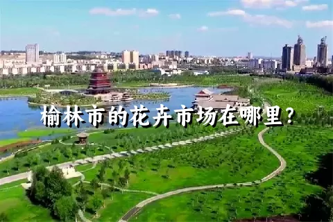 榆林市的花卉市场在哪里？