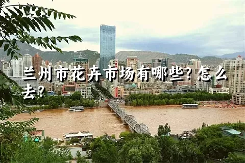 兰州市花卉市场有哪些？怎么去？