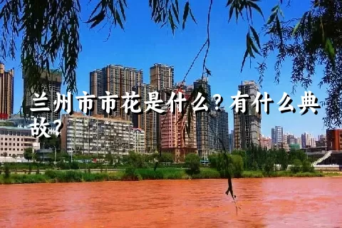 兰州市市花是什么？有什么典故？