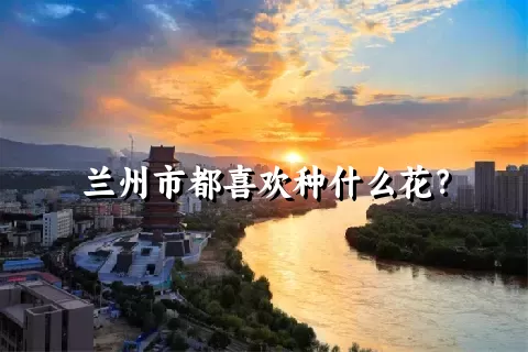 兰州市都喜欢种什么花？