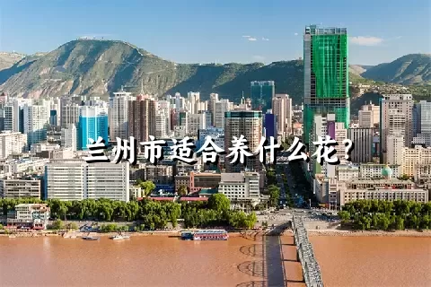 兰州市适合养什么花？