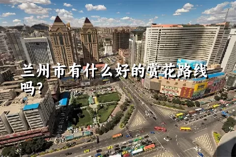 兰州市有什么好的赏花路线吗？