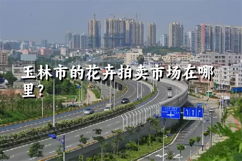 玉林市的花卉拍卖市场在哪里？