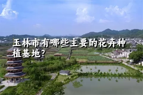 玉林市有哪些主要的花卉种植基地？