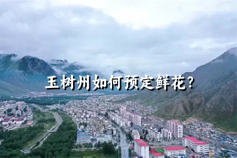 玉树州如何预定鲜花？