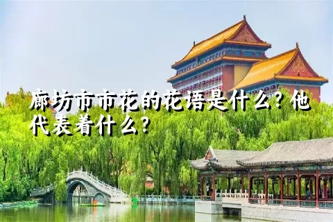 廊坊市市花的花语是什么？他代表着什么？