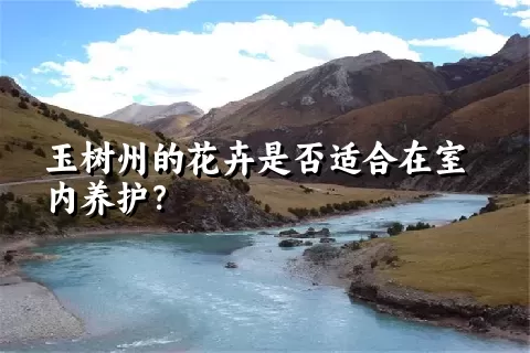 玉树州的花卉是否适合在室内养护？